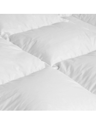 Polaris - padding for queen size bed goose down 90/10