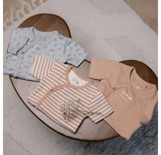 Set of 3 Organic Cotton Bodysuits Dirkje WN1262 2