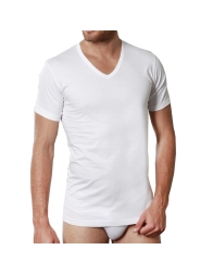 T-shirts in Filoscozia cotton Nottingham TV7102