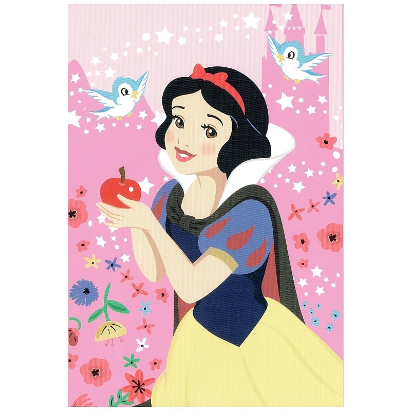 Snow White - polar blanket fleece 100x150 cm PRI1419