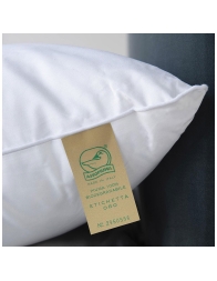 Guanciale in 100% piuma d'oca 50x80 cm - Orta - Molina