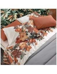 Percale Cotton Double Bed Sheet Set – Divine – Gabel